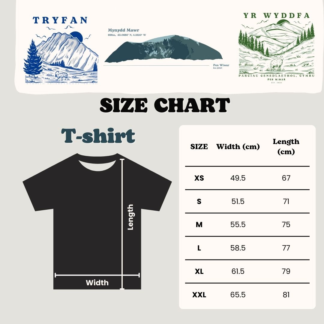 Tryfan Relaxed Fit Tee in Grey
