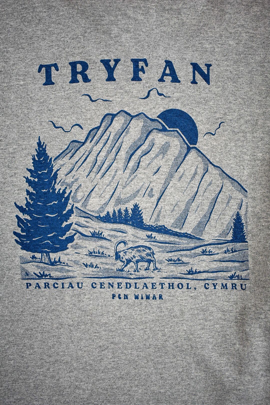 Tryfan Relaxed Fit Tee in Grey