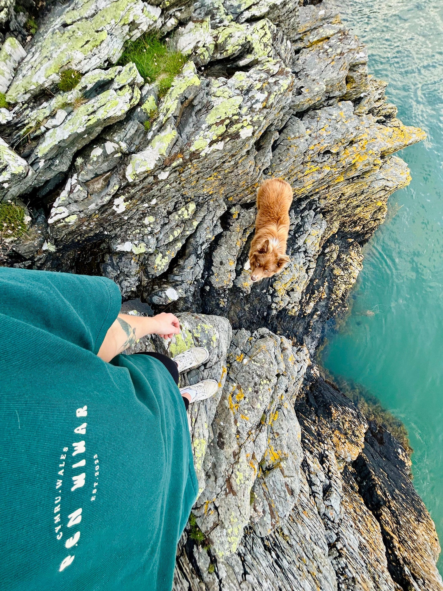 Natur Llŷn Relaxed Fit Tee in Fern Green