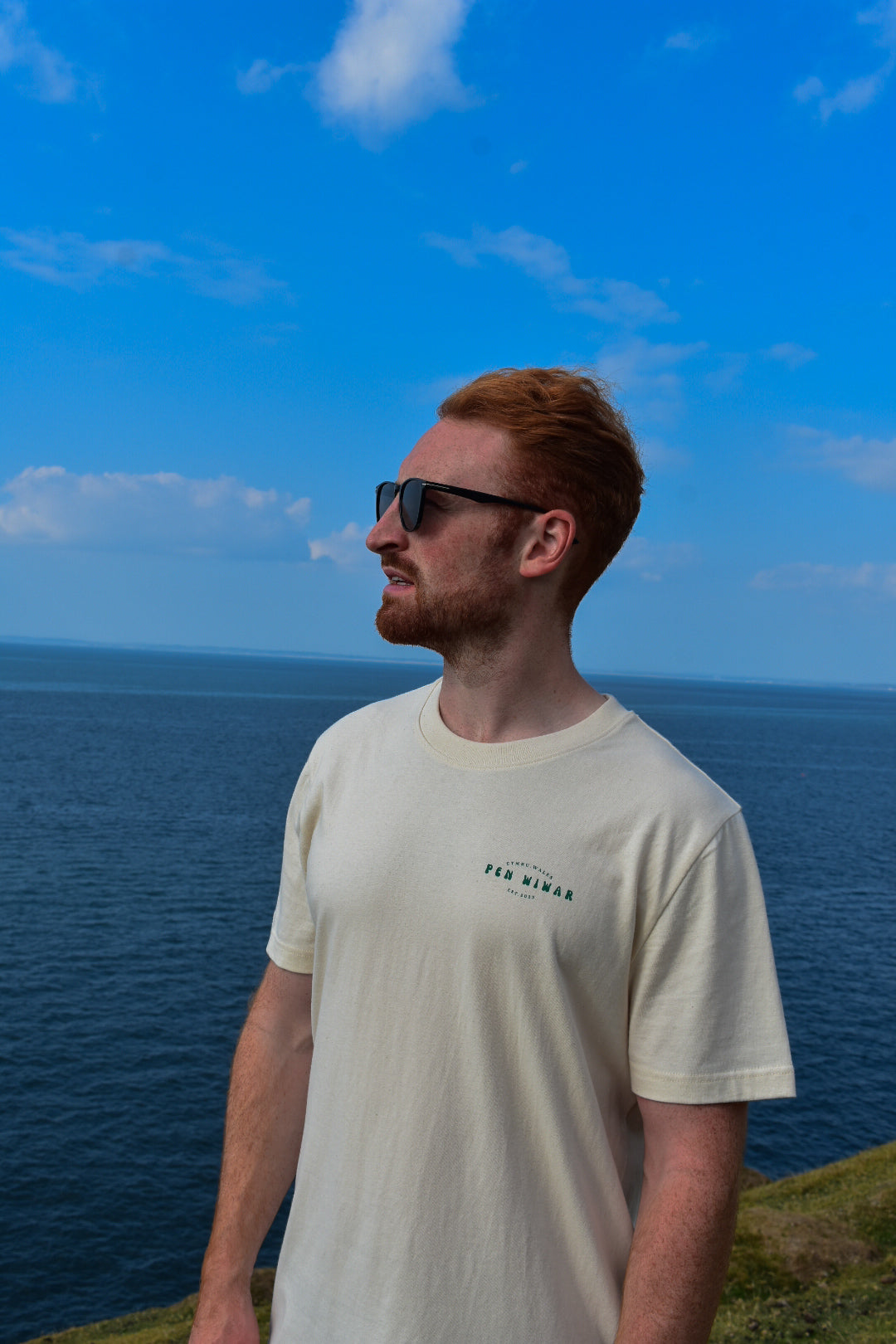 Natur Llŷn Relaxed fit Tee in Natural