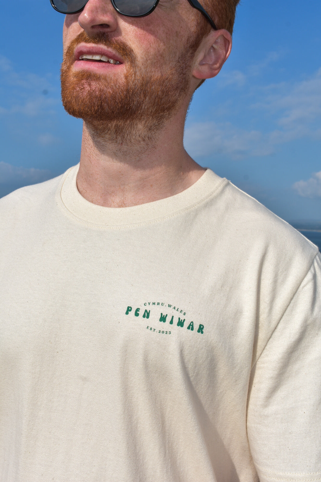 Natur Llŷn Relaxed fit Tee in Natural