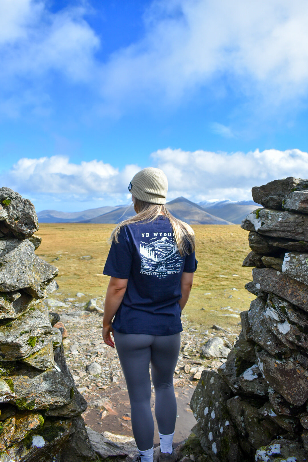 Yr Wyddfa Relaxed Fit Tee in Navy