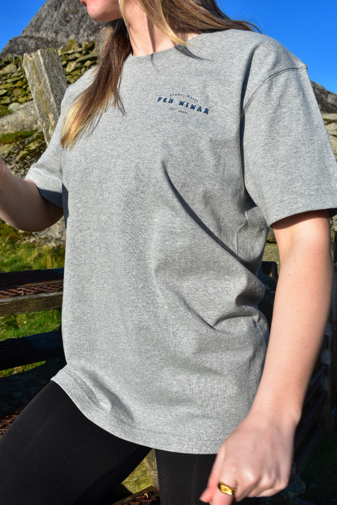 Tryfan Relaxed Fit Tee in Grey