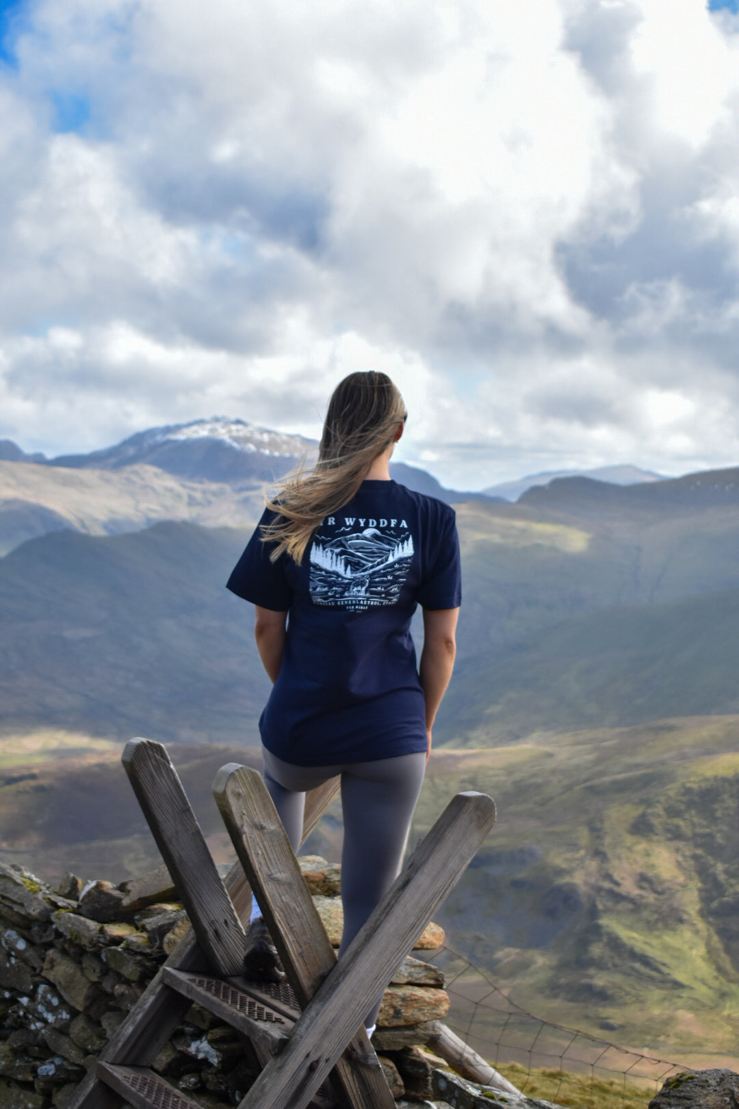 Yr Wyddfa Relaxed Fit Tee in Navy