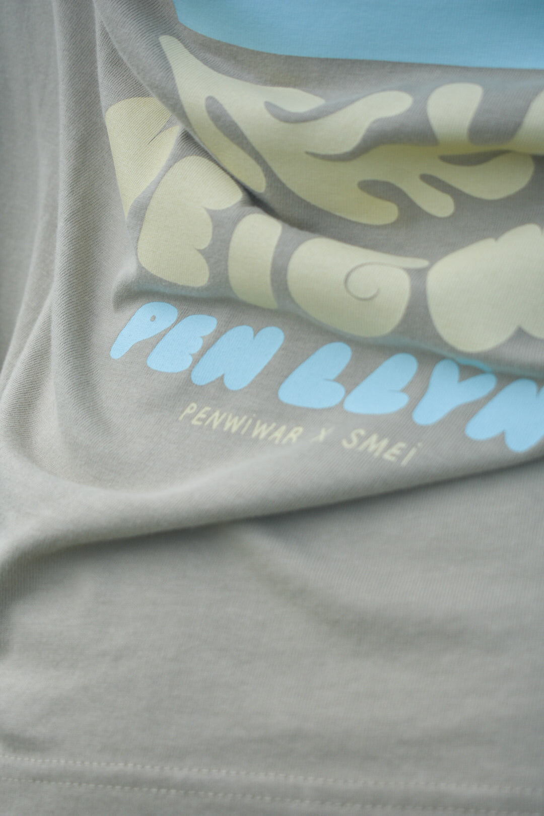 Porth Neigwl Relaxed fit Tee in Sandstone