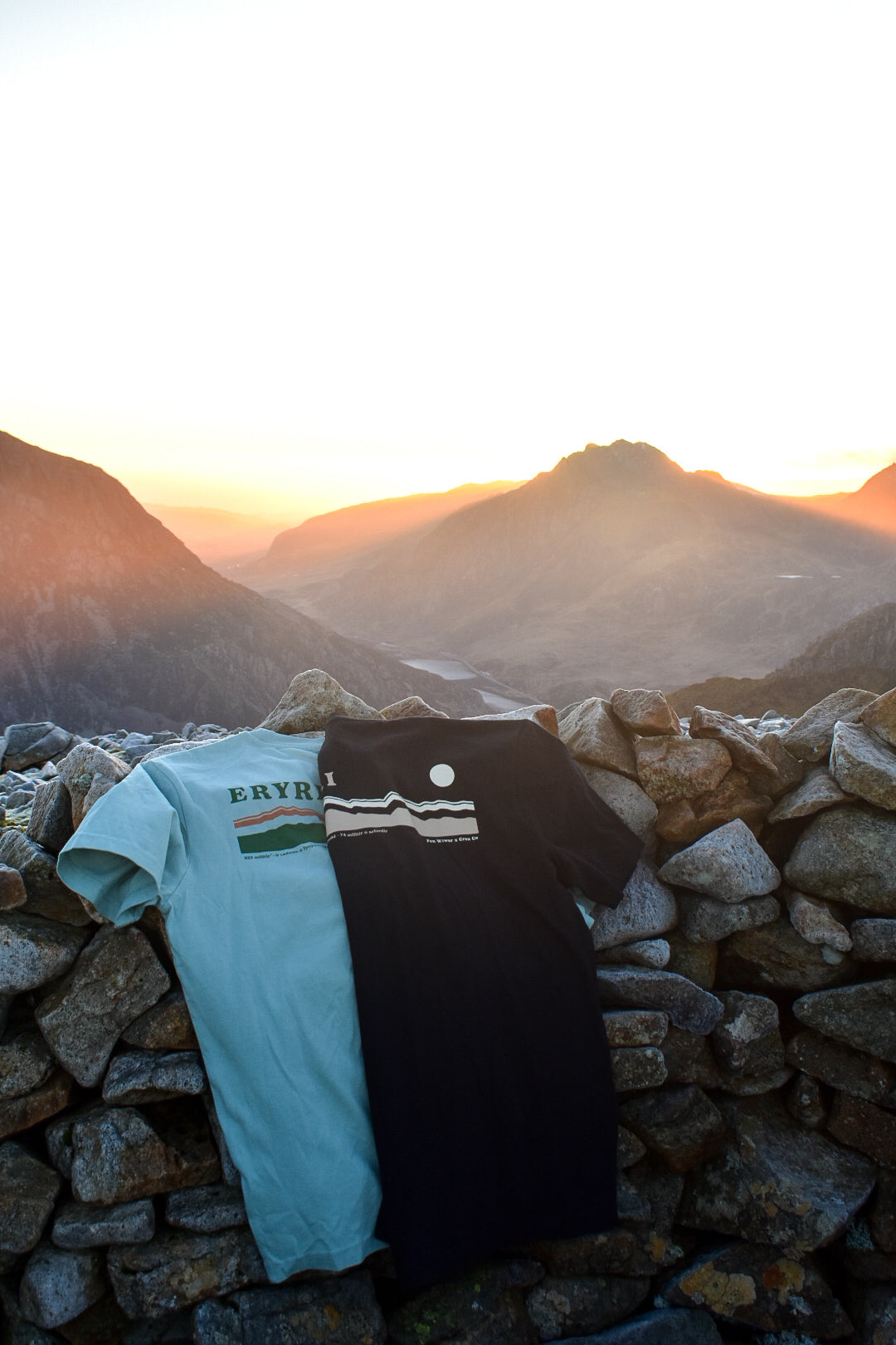 Eryri relaxed fit tee in Aloe green