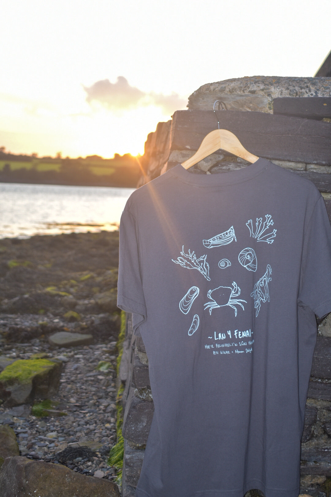 Lan y Fenai Relaxed fit Tee in Anthracite