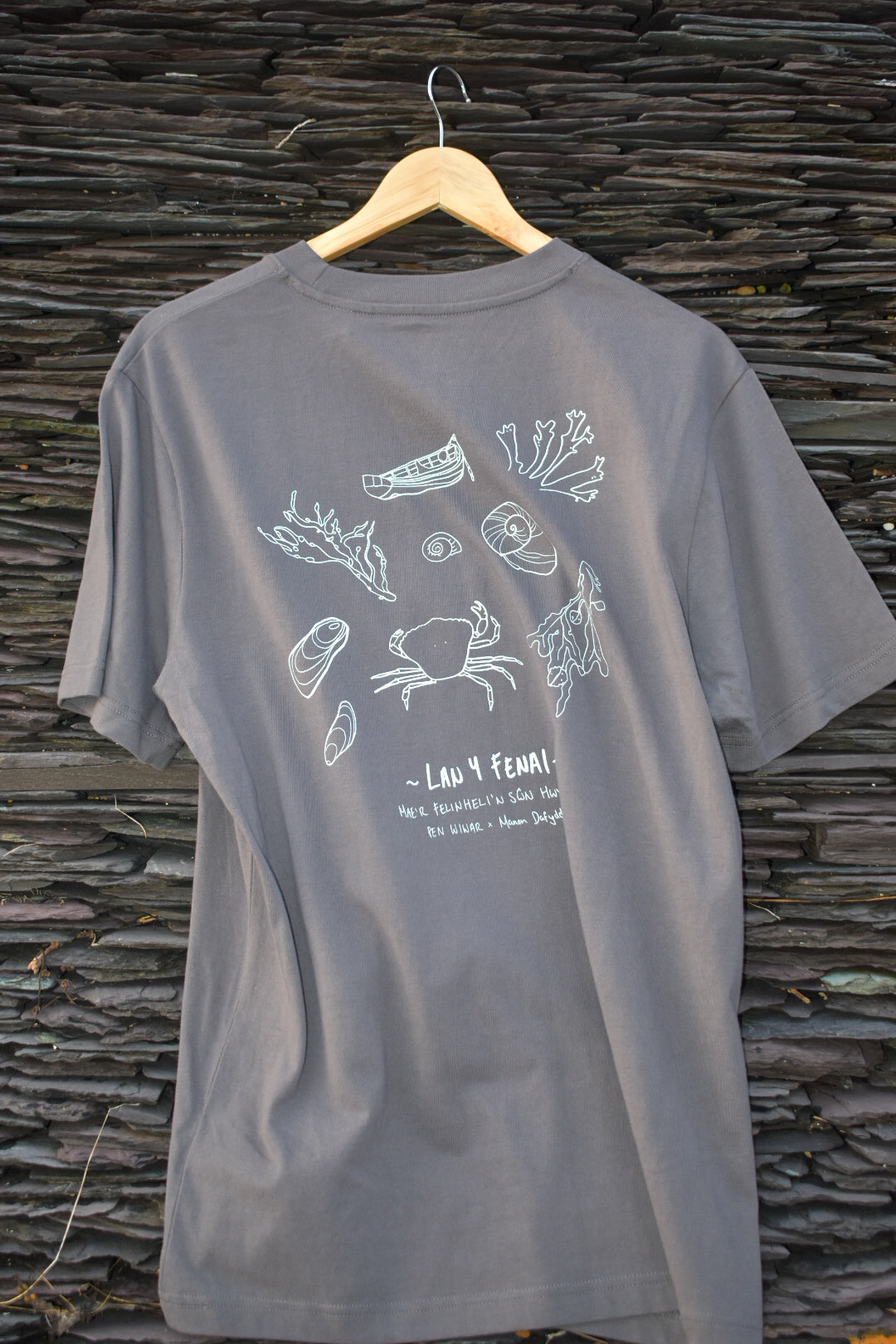 Lan y Fenai Relaxed fit Tee in Anthracite