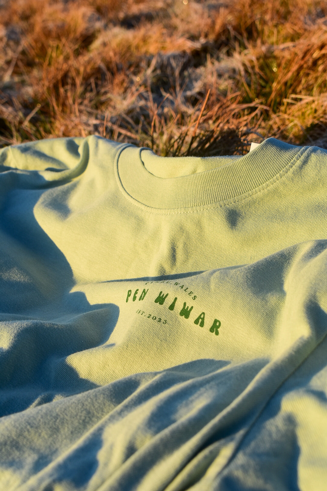 Eryri relaxed fit tee in Aloe green