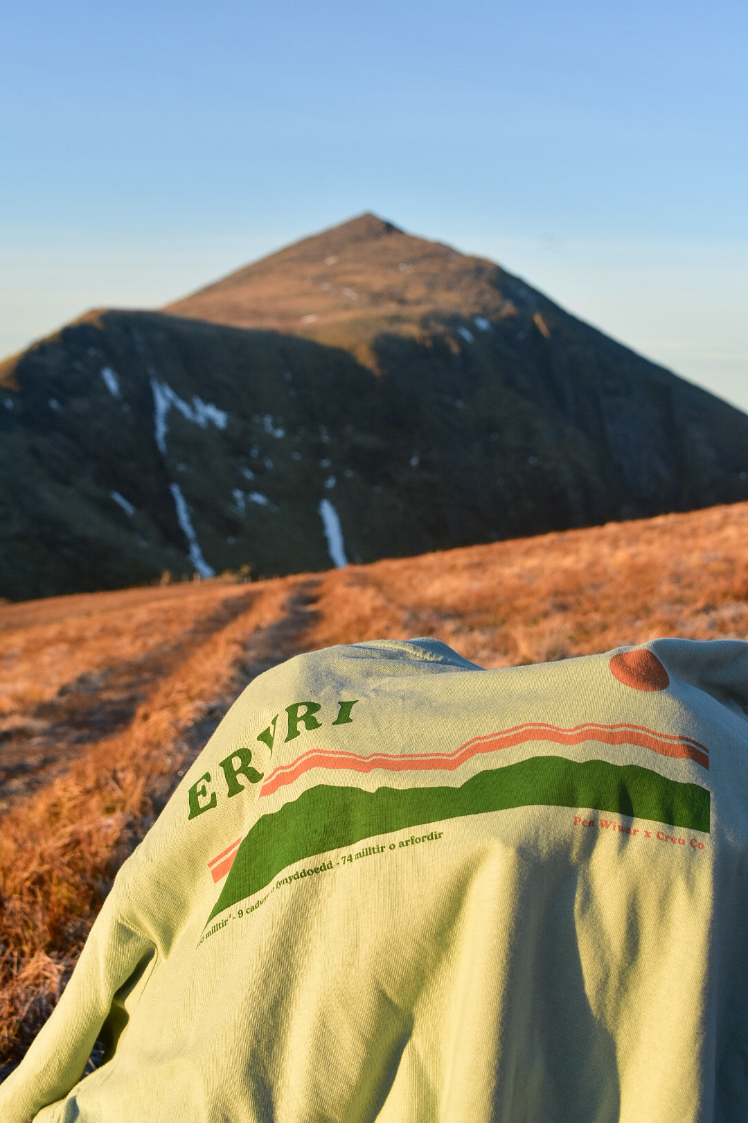 Eryri relaxed fit tee in Aloe green
