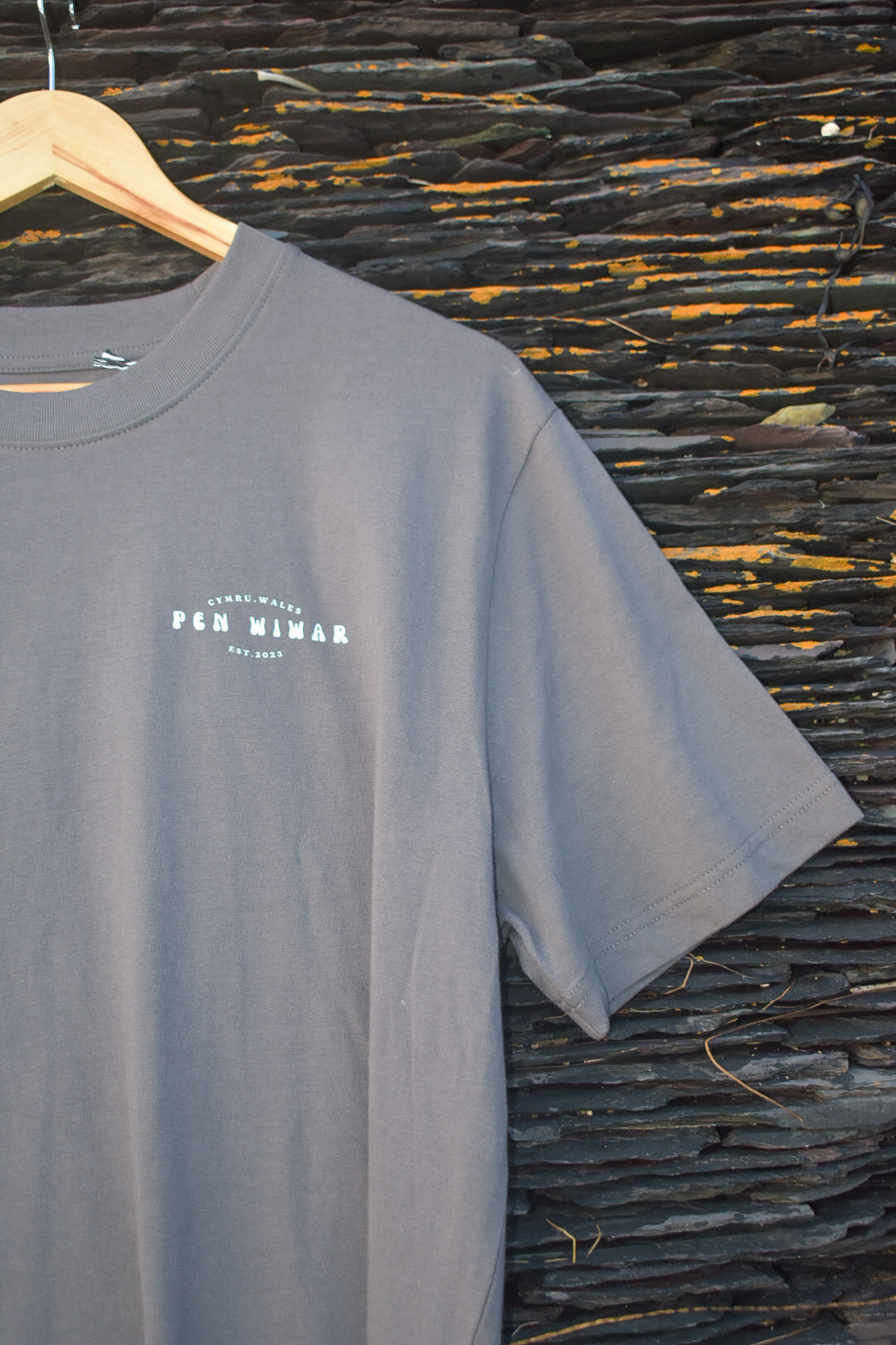 Lan y Fenai Relaxed fit Tee in Anthracite