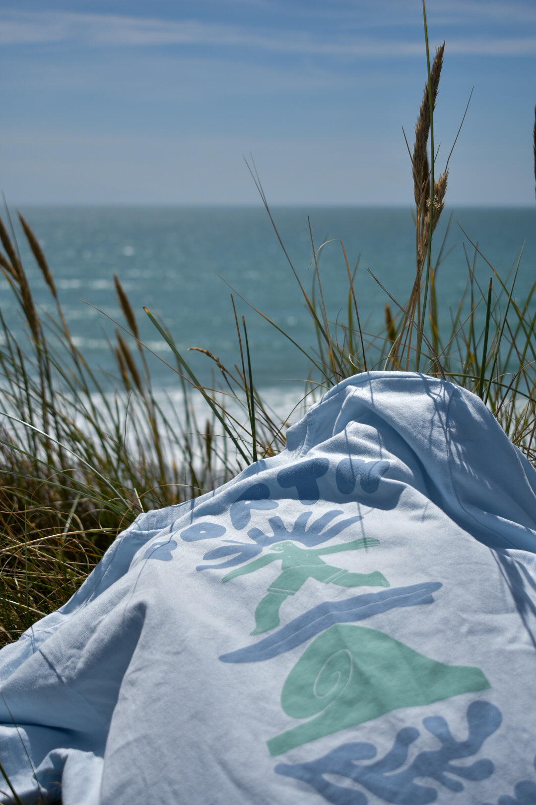 Porth Neigwl - Relaxed fit Tee in Tide Blue