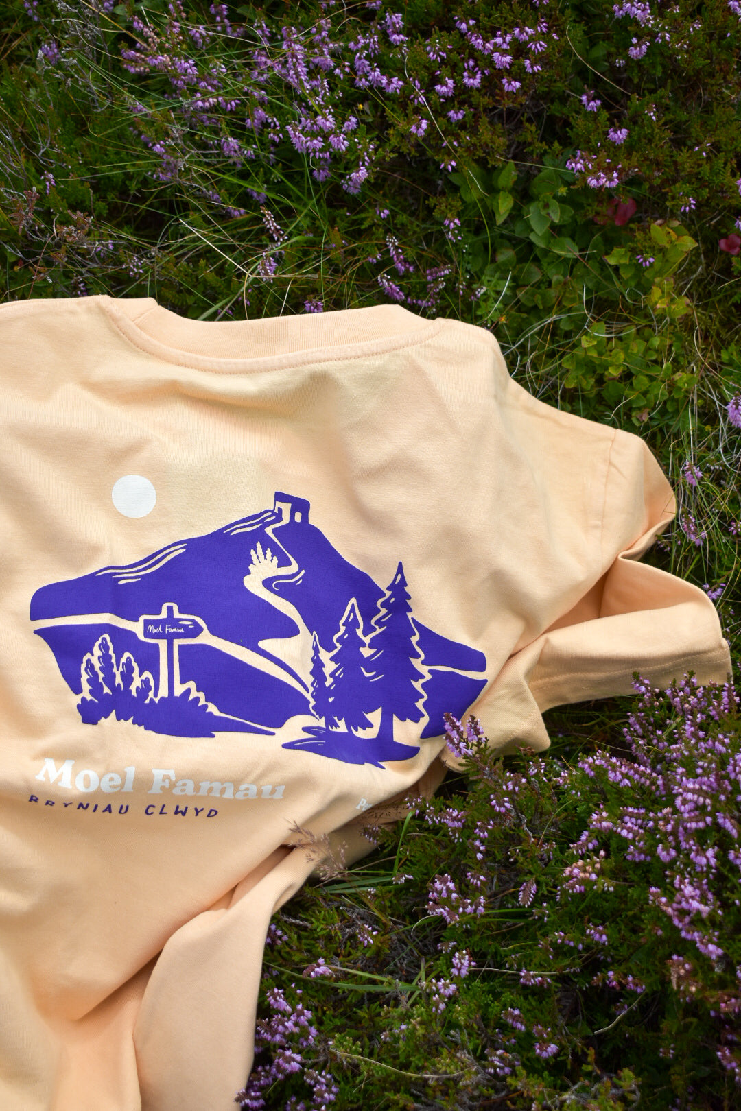 Moel Famau Relaxed Fit Tee in Nispero