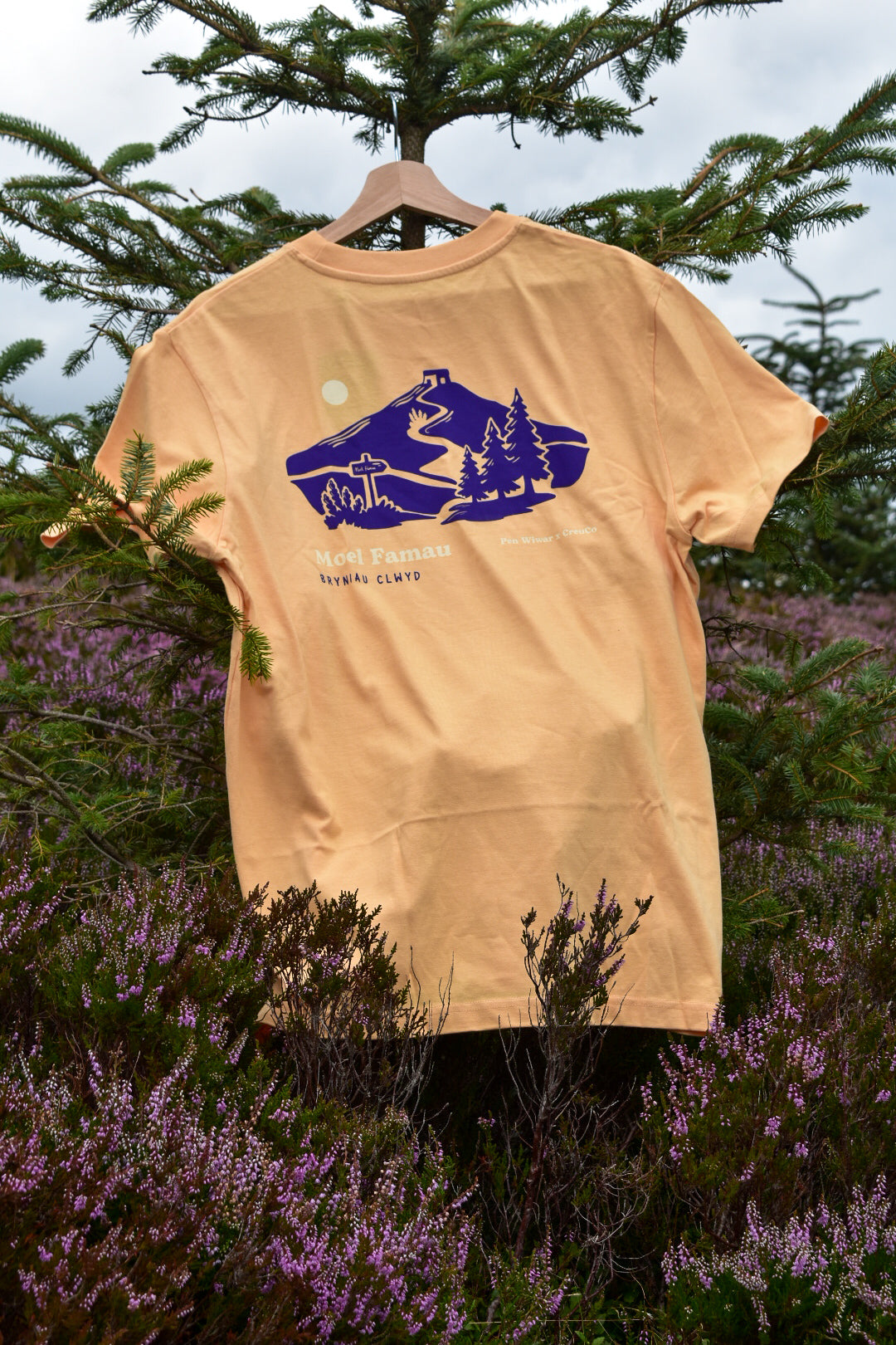 Moel Famau Relaxed Fit Tee in Nispero