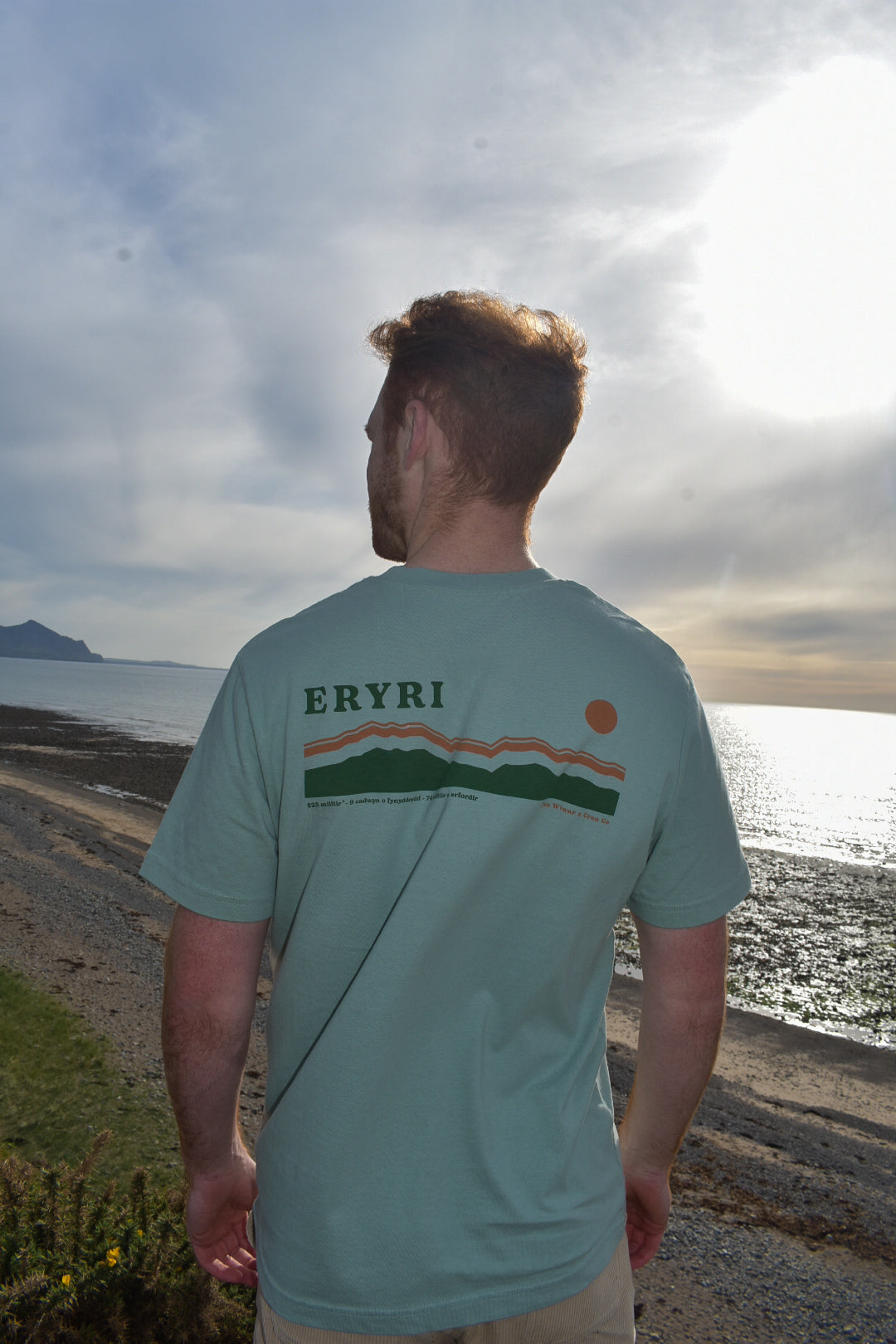 Eryri relaxed fit tee in Aloe green