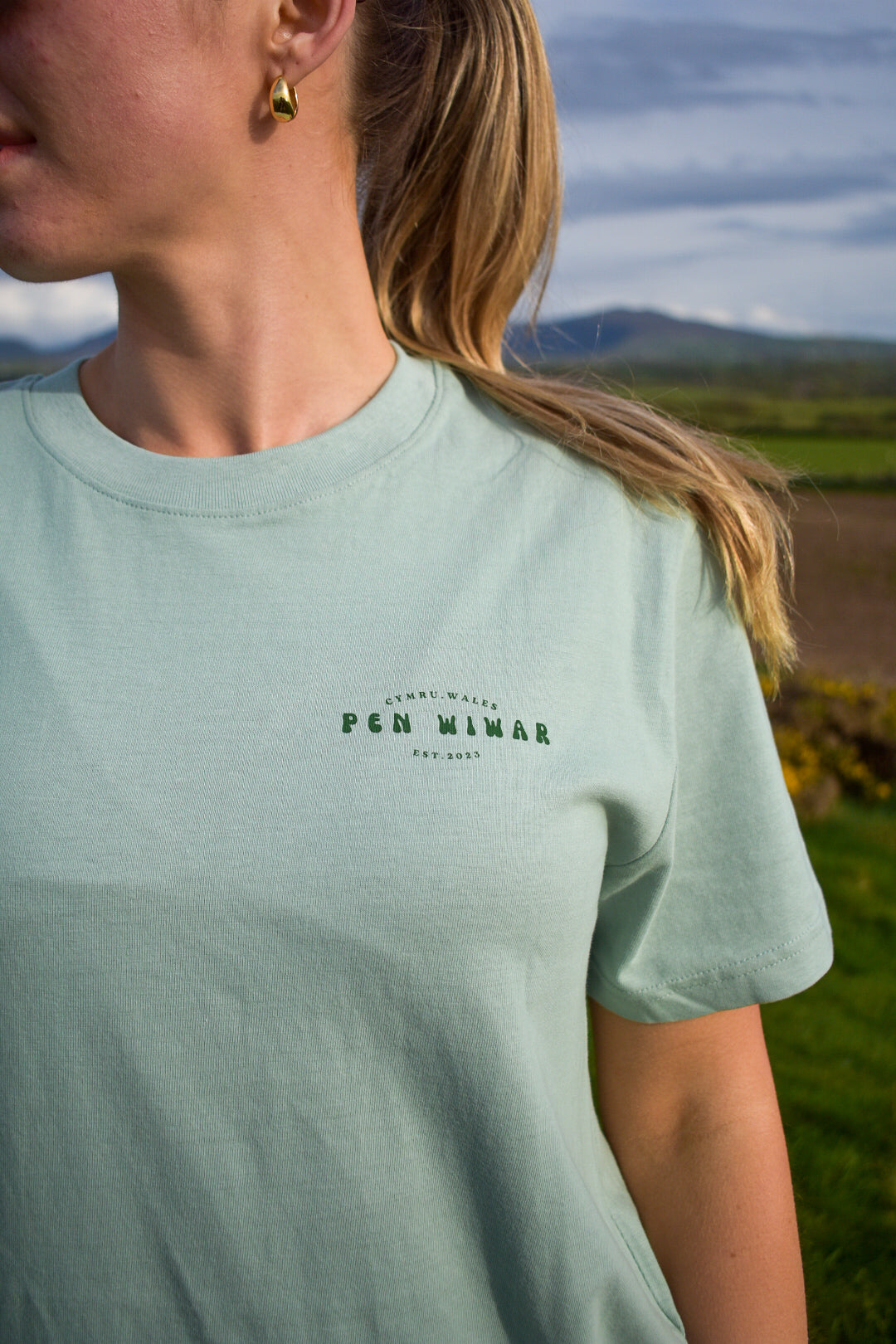 Eryri relaxed fit tee in Aloe green