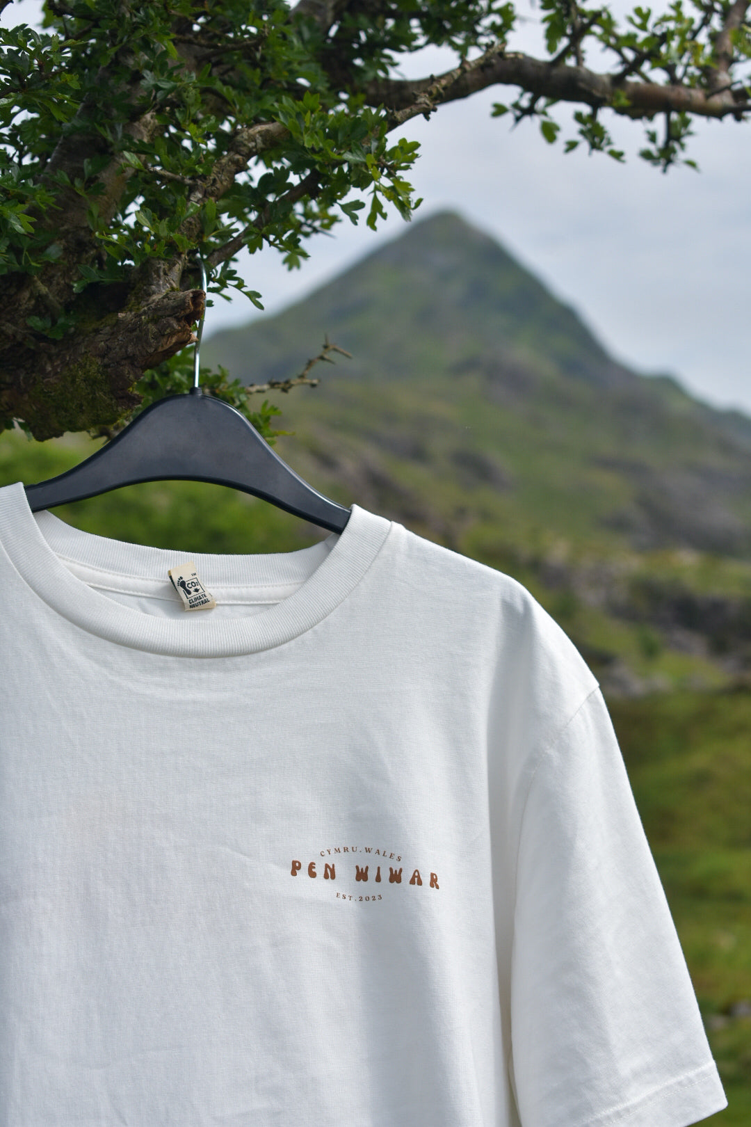 Cnicht Relaxed fit Tee in Off-white