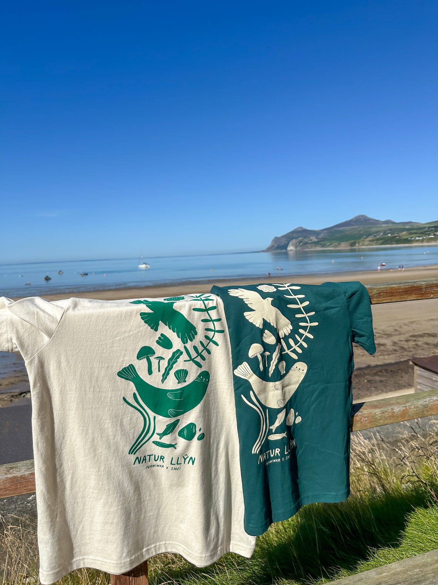 Natur Llŷn Relaxed Fit Tee in Fern Green