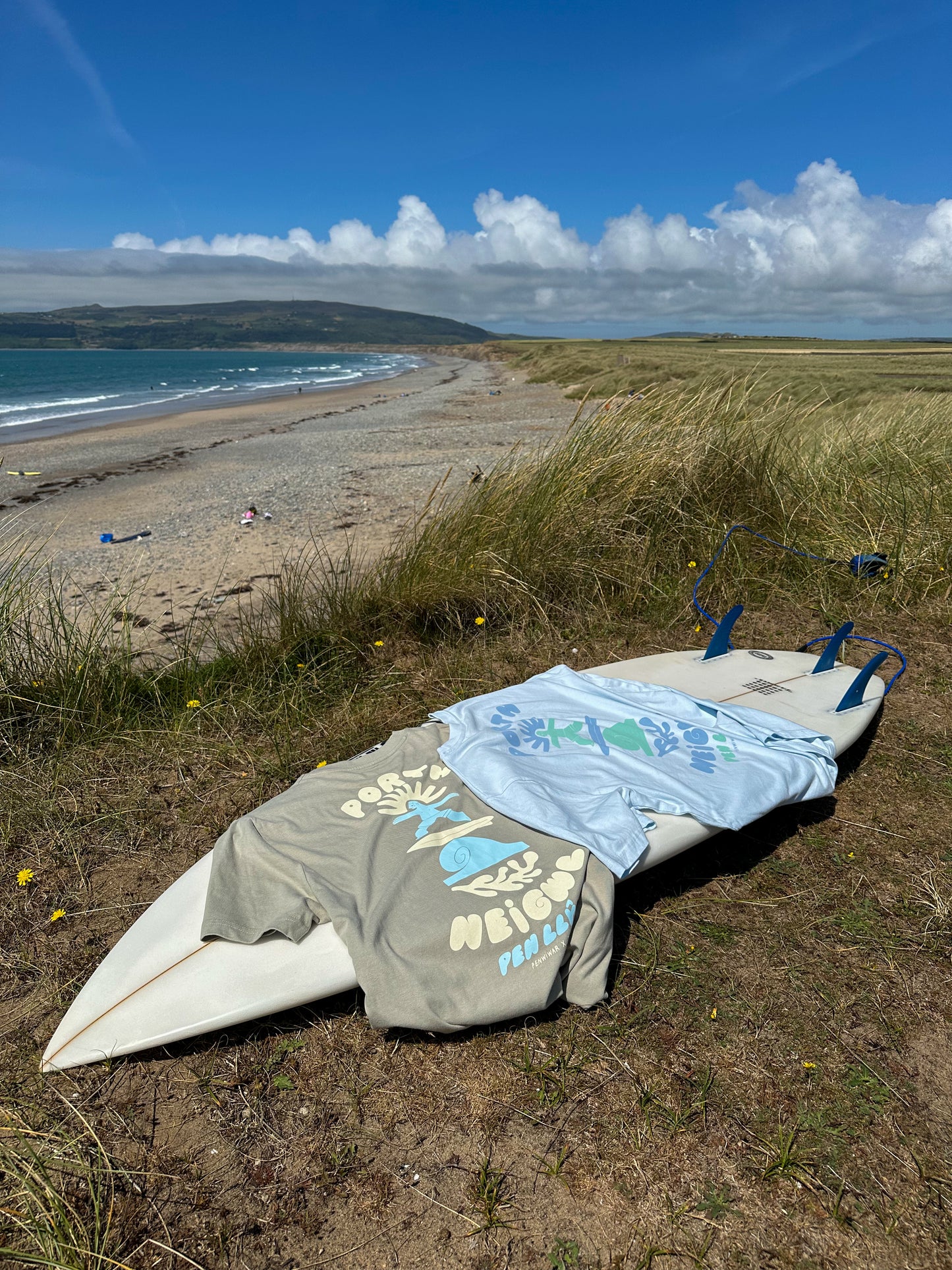 Porth Neigwl Relaxed fit Tee in Sandstone