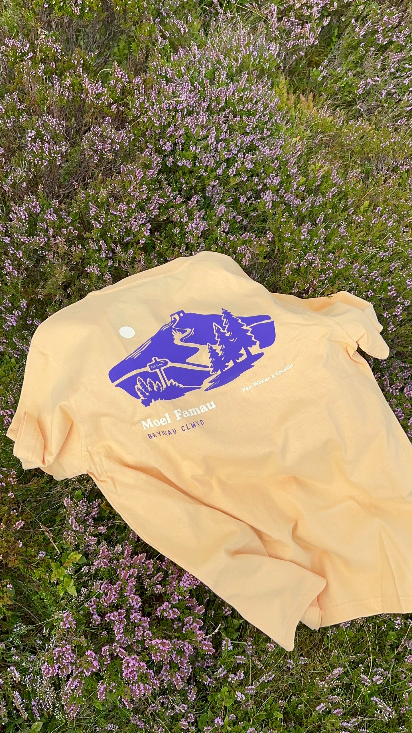 Moel Famau Relaxed Fit Tee in Nispero