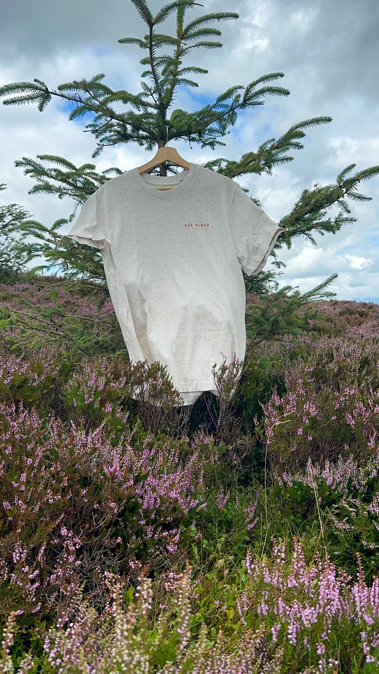 Moel Famau Relaxed Fit Tee in eco-heather