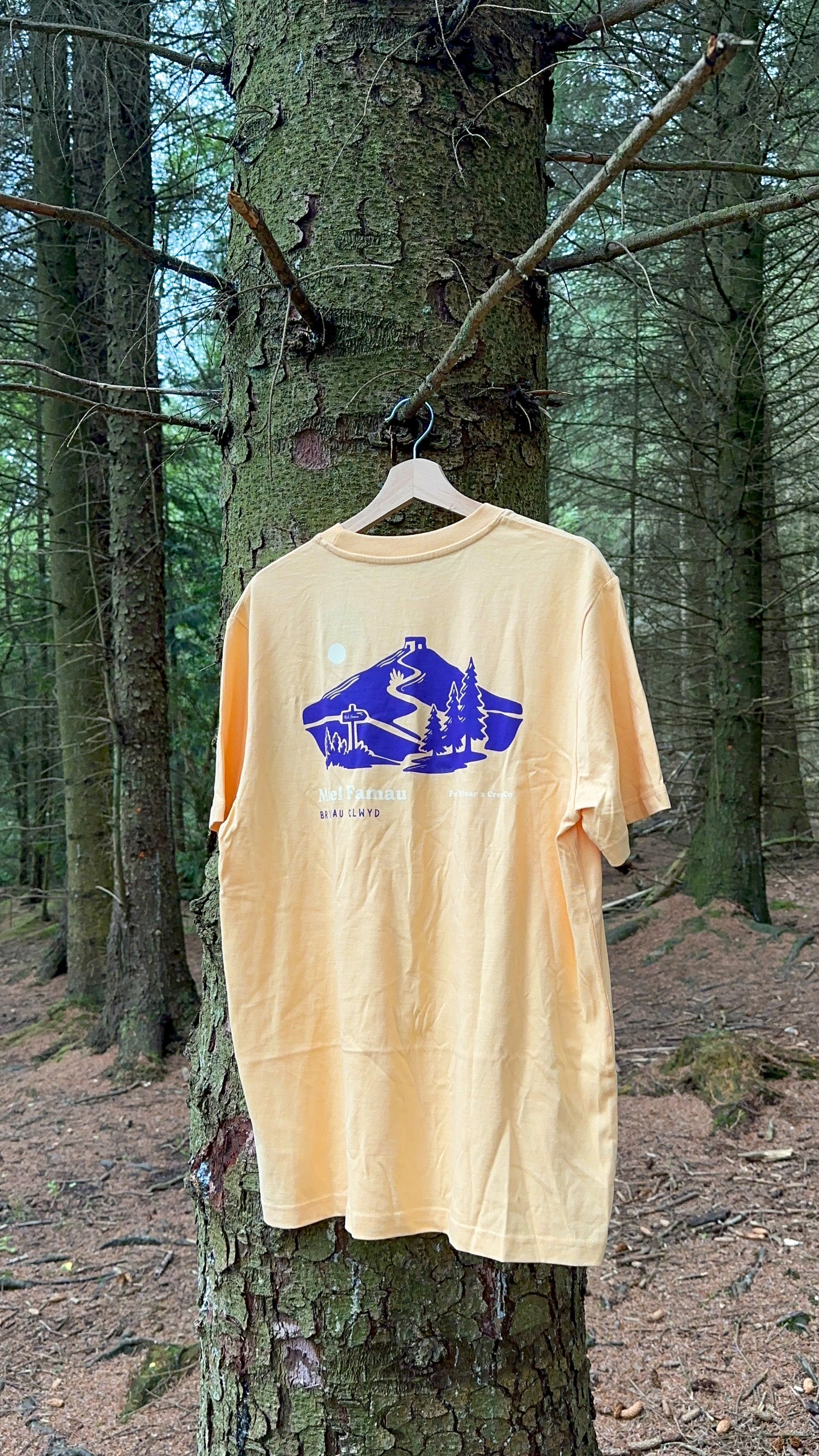 Moel Famau Relaxed Fit Tee in Nispero