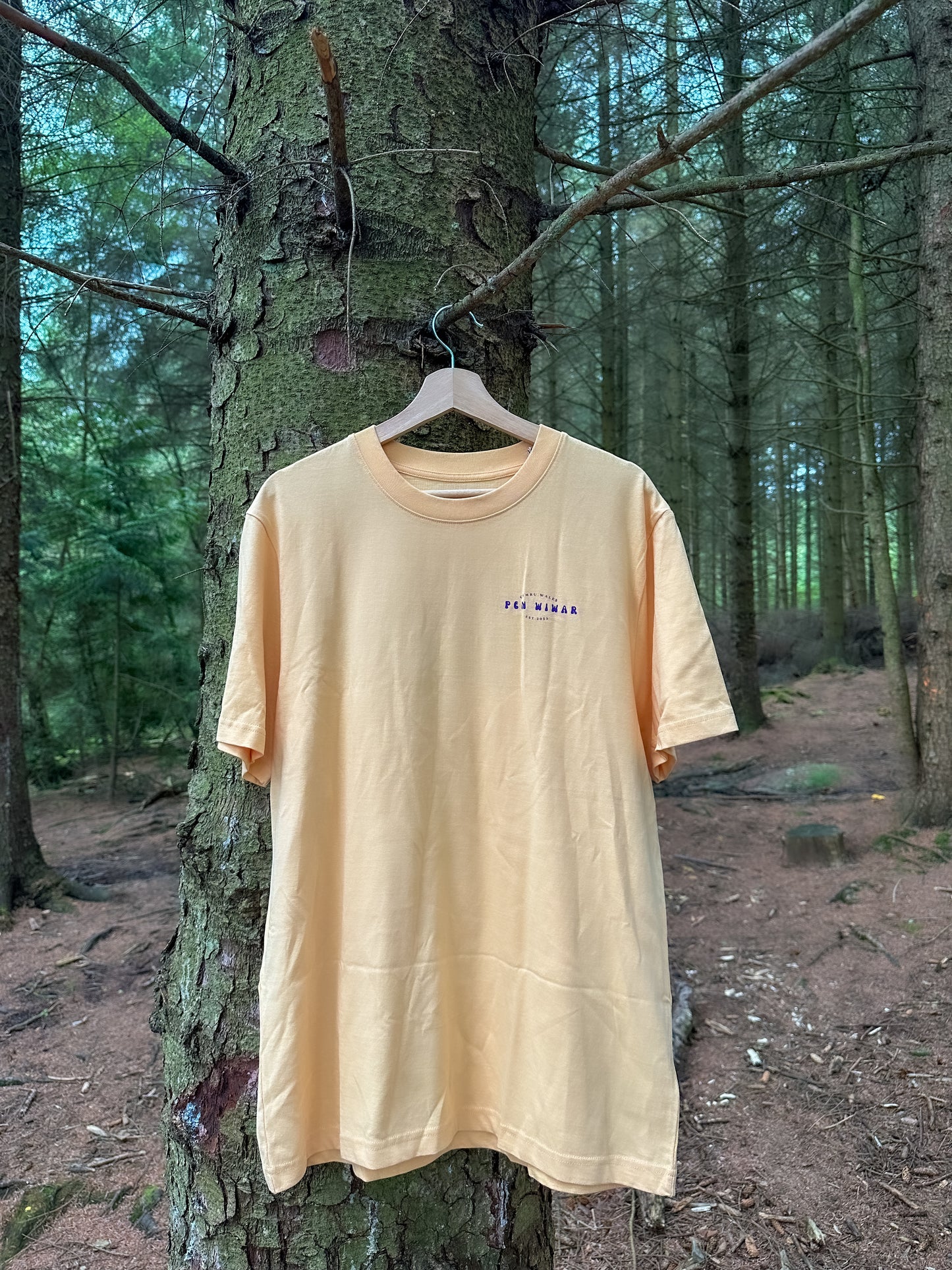 Moel Famau Relaxed Fit Tee in Nispero