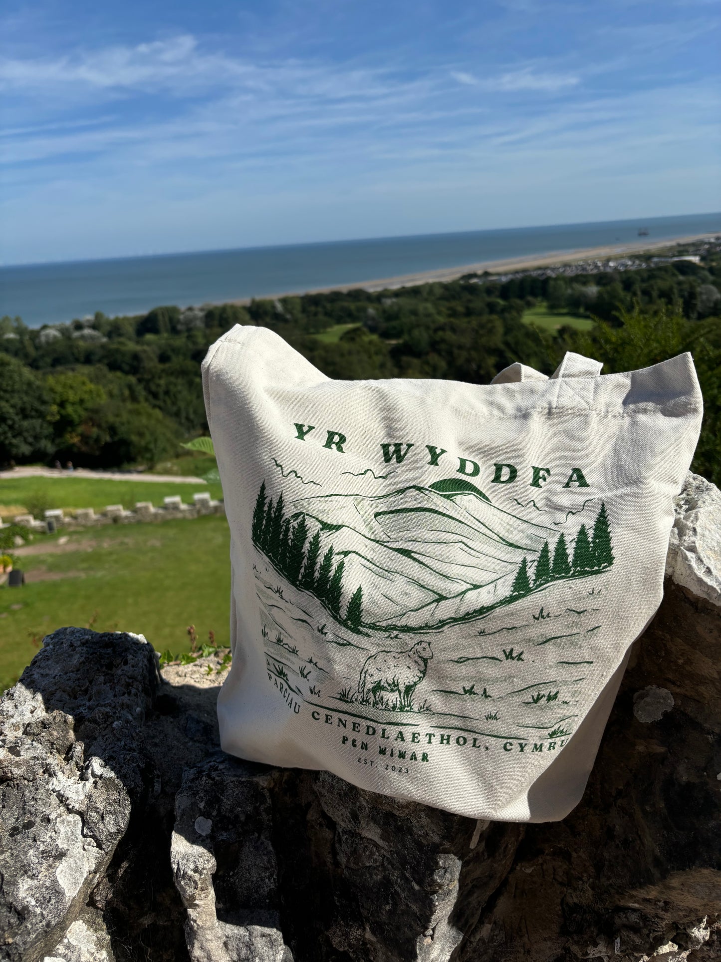 Yr Wyddfa Recycled Woven Tote Bag