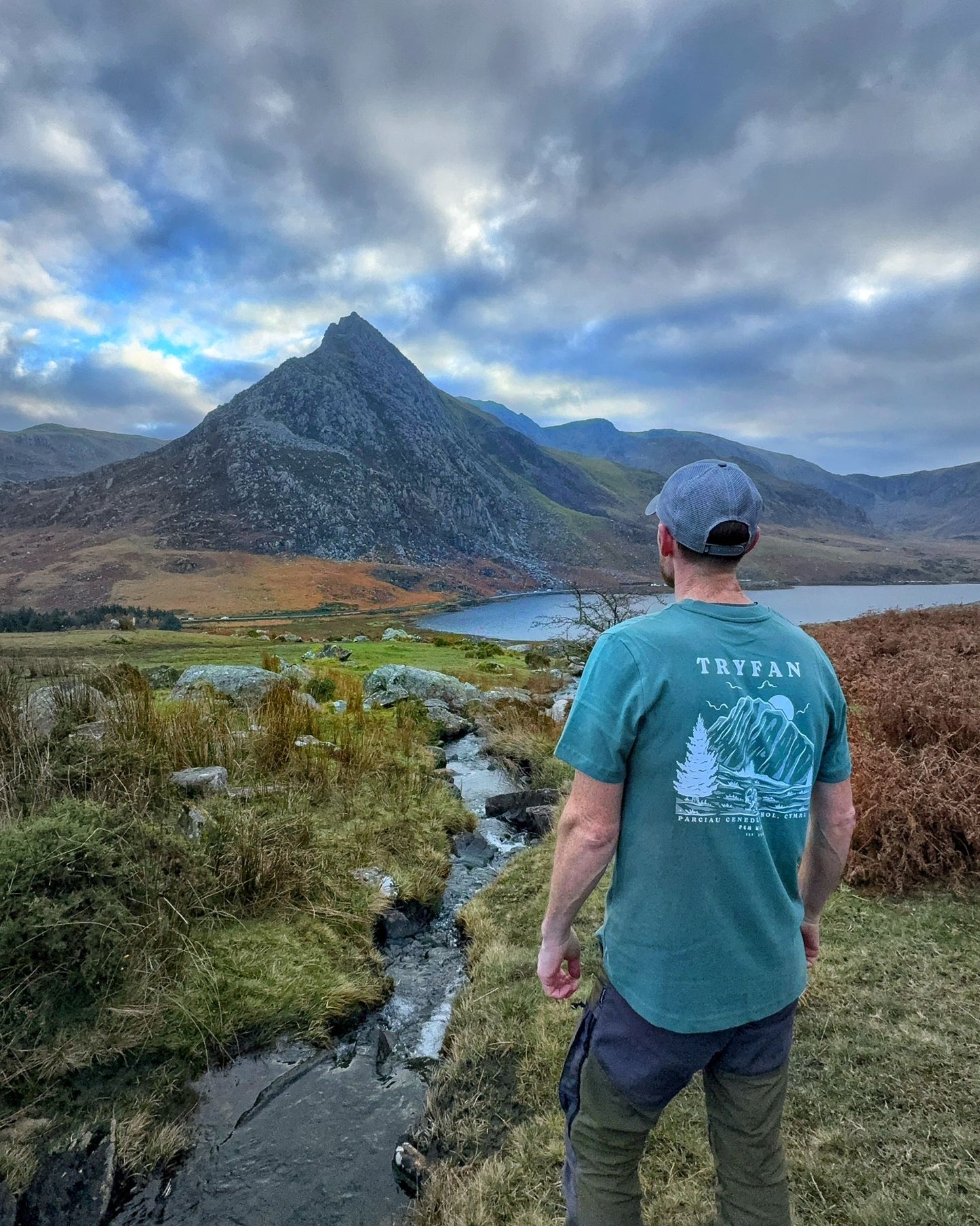 Tryfan Relaxed Fit Tee in Moss Green