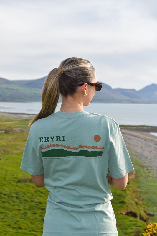 Eryri relaxed fit tee in Aloe green