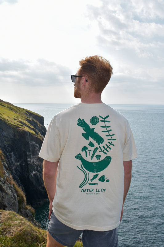 Natur Llŷn Relaxed fit Tee in Natural
