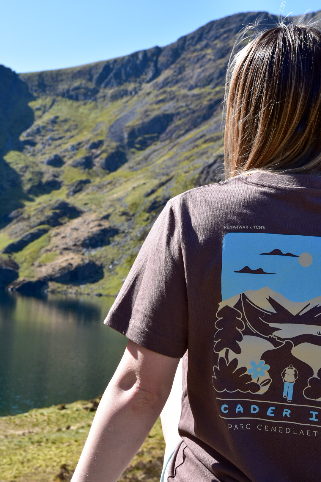Cader Idris Relaxed fit T-shirt in Mocha Brown