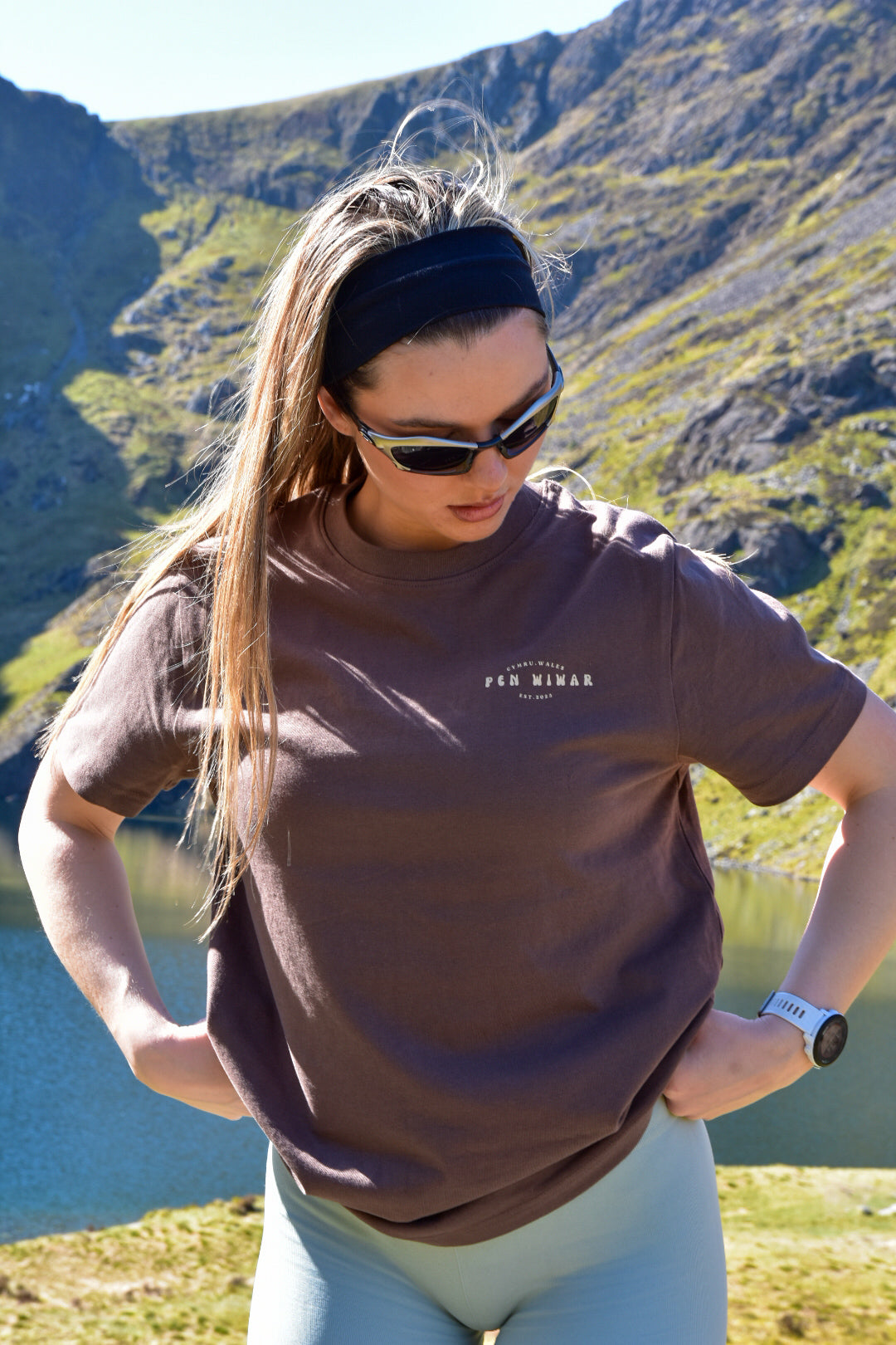 Cader Idris Relaxed fit T-shirt in Mocha Brown