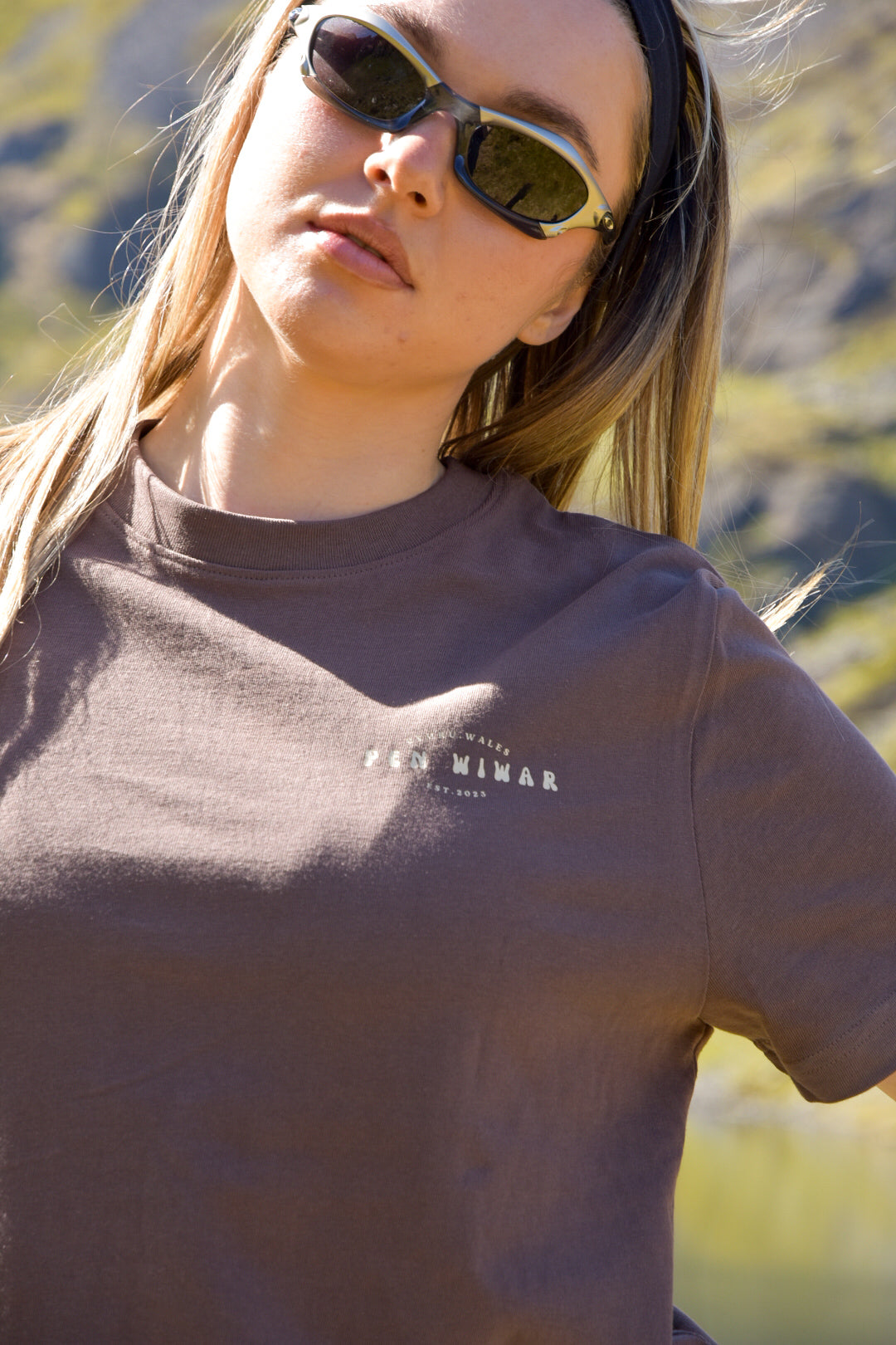 Cader Idris Relaxed fit T-shirt in Mocha Brown