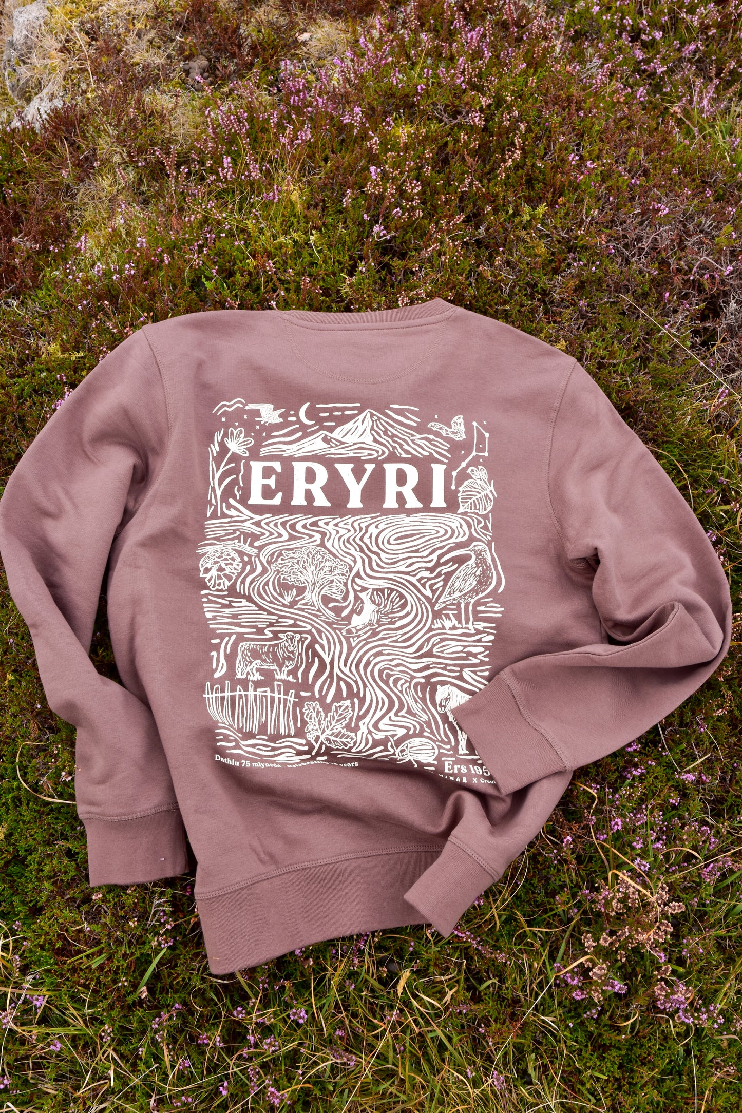 Eryri Collab 75 Sweatshirt in Mocha Brown