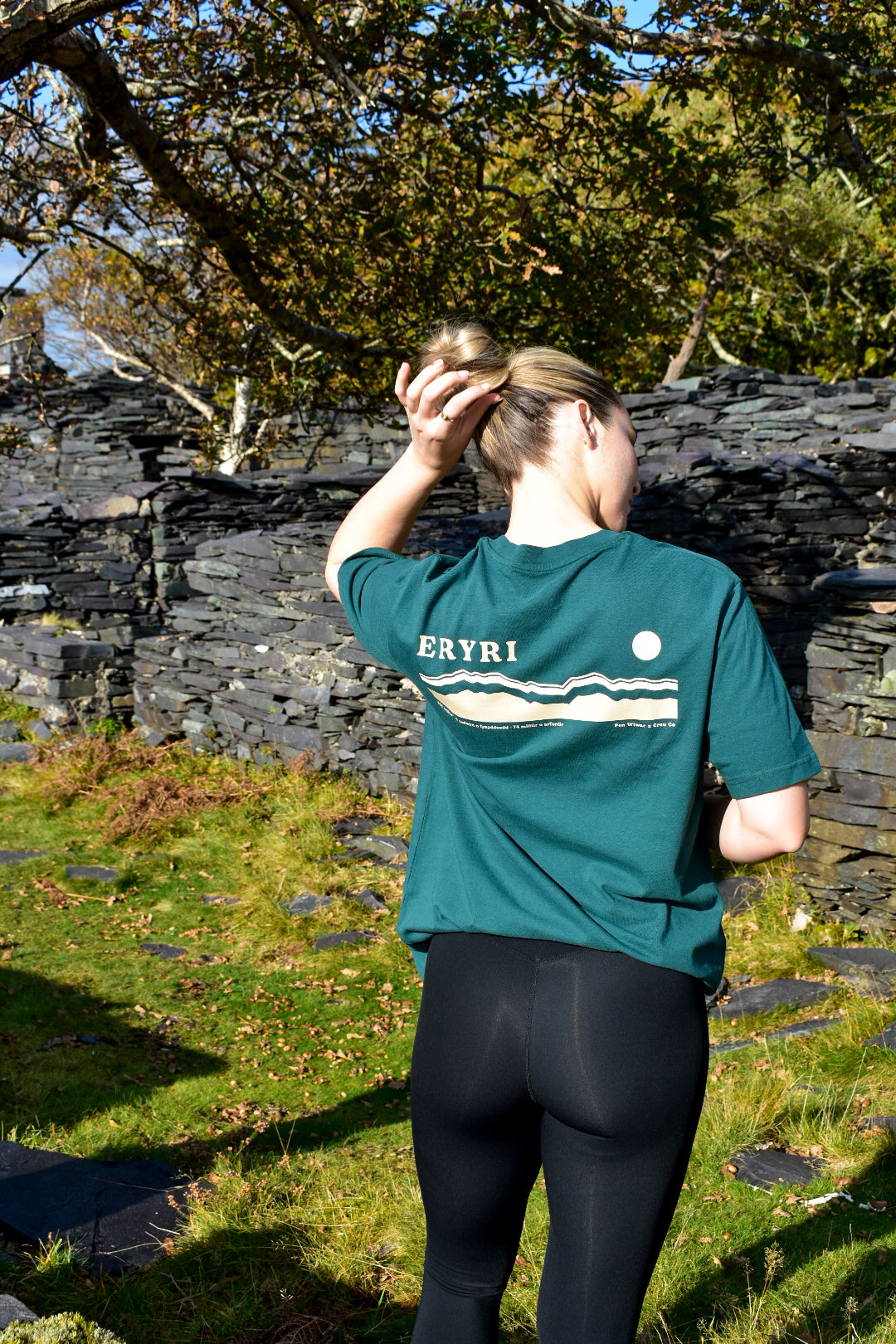 Eryri relaxed fit Tee in Fern Green