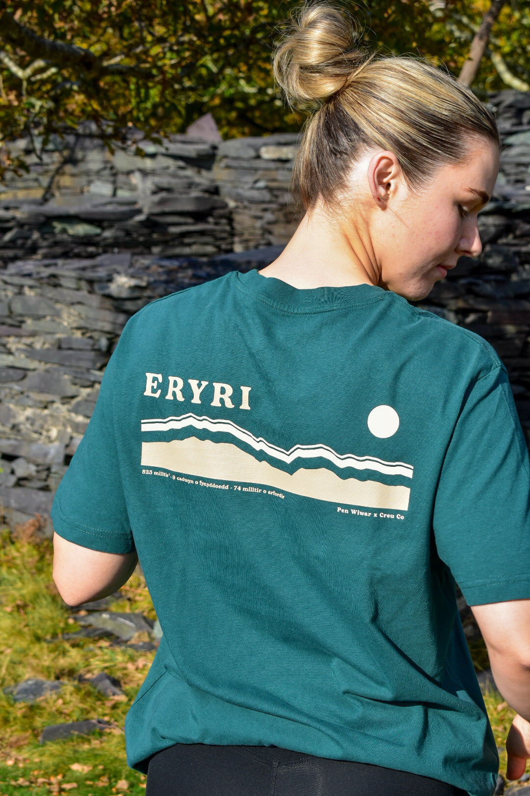 Eryri relaxed fit Tee in Fern Green