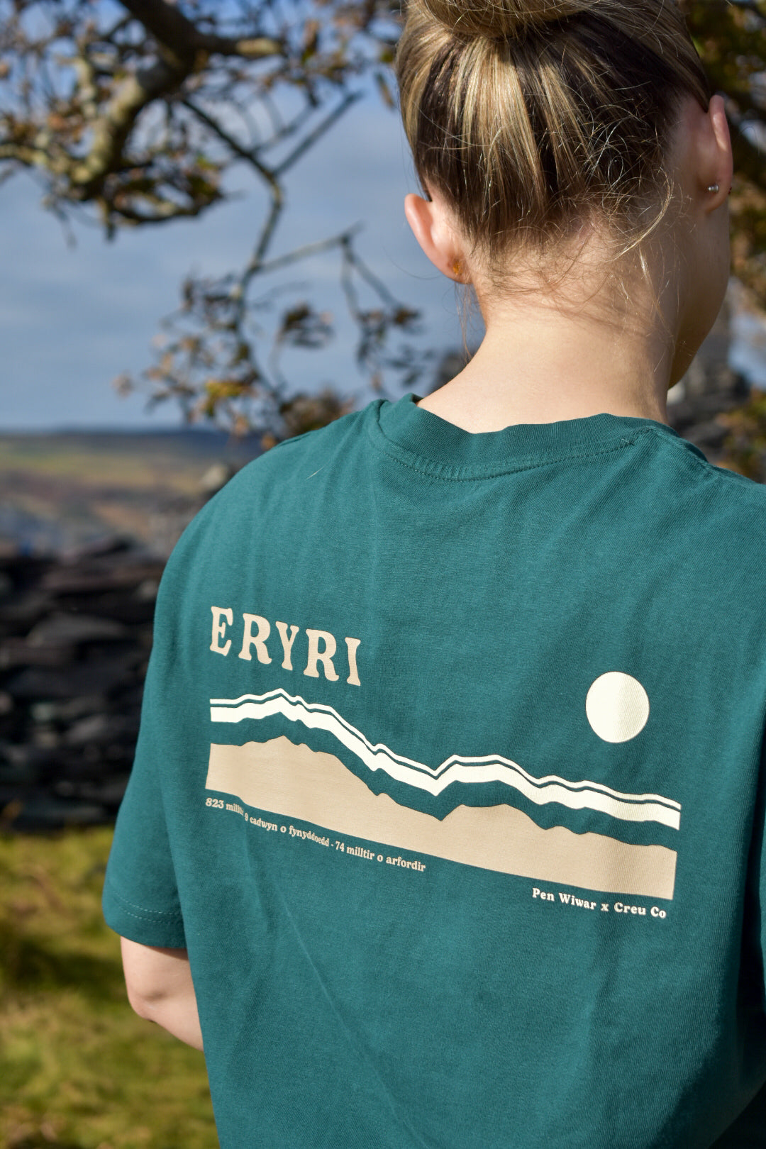 Eryri relaxed fit Tee in Fern Green