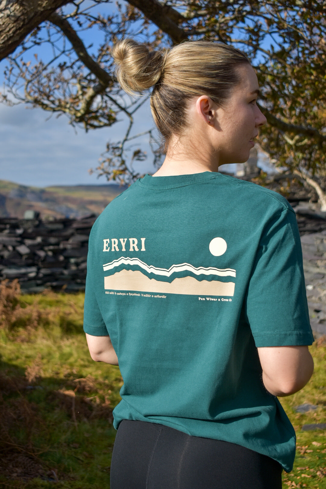 Eryri relaxed fit Tee in Fern Green