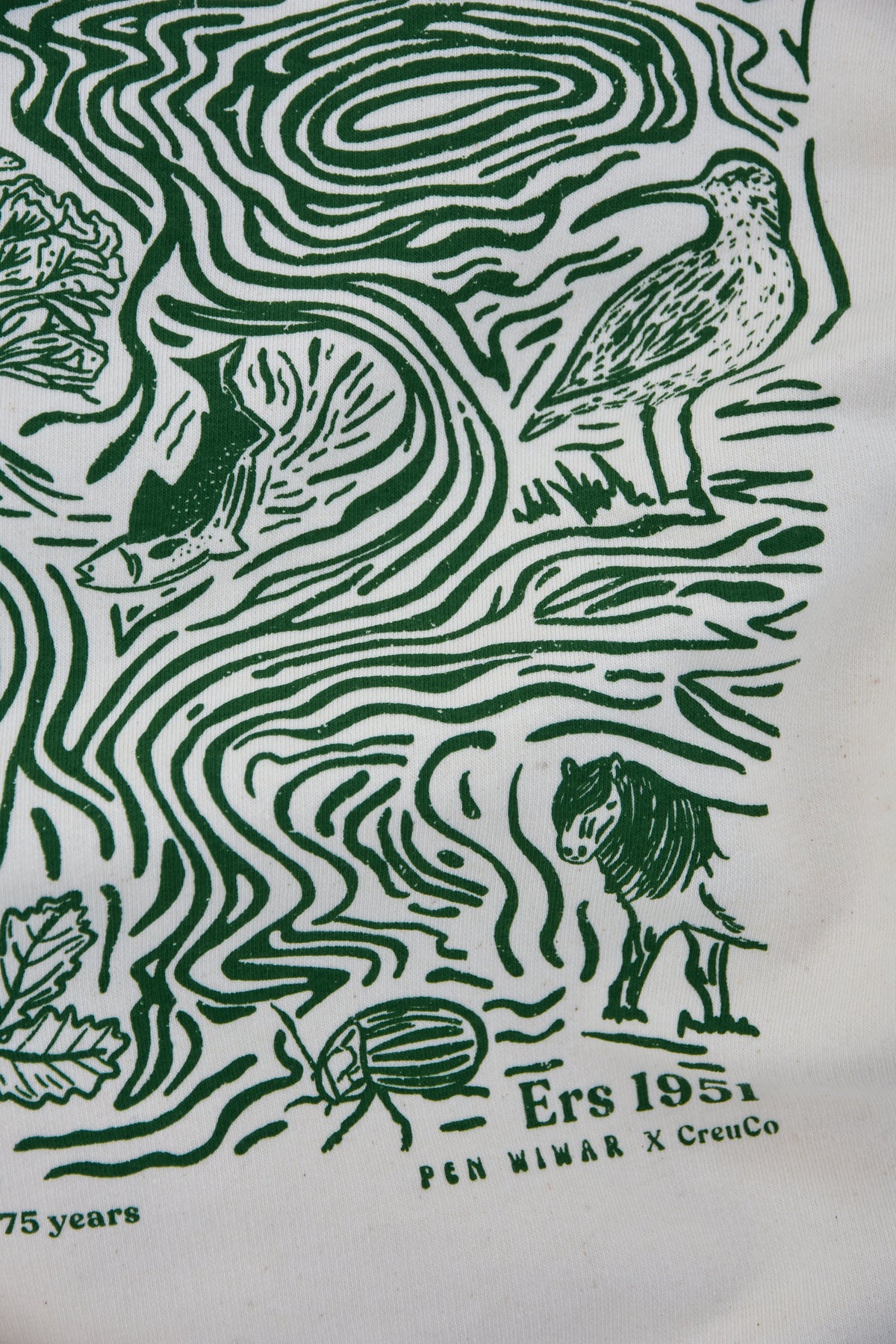 Eryri Collab 75 Hoodie in off-white