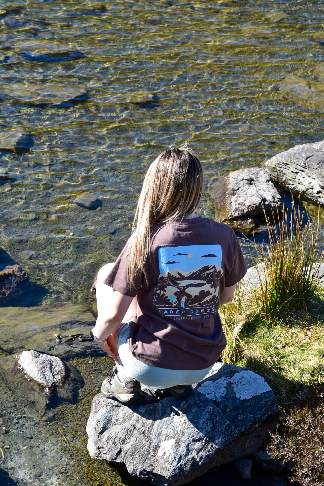 Cader Idris Relaxed fit T-shirt in Mocha Brown