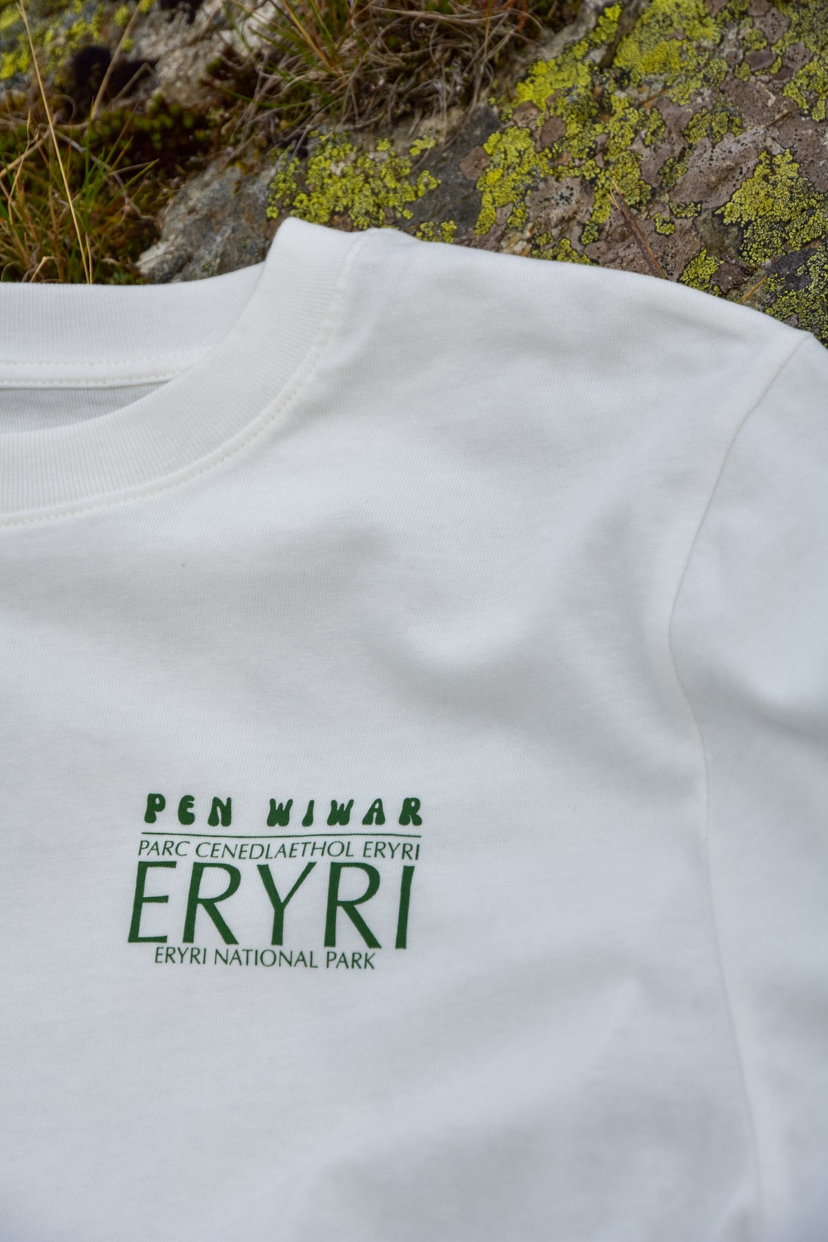 Eryri Collab 75 T-shirt in Off-White