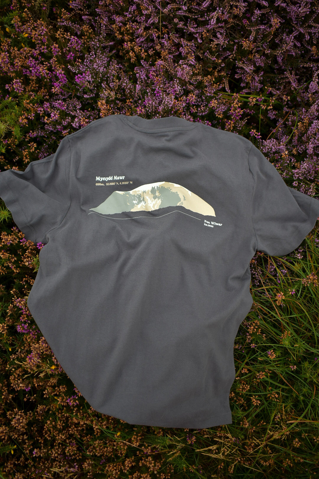 Mynydd Mawr Relaxed Fit Tee in Anthracite