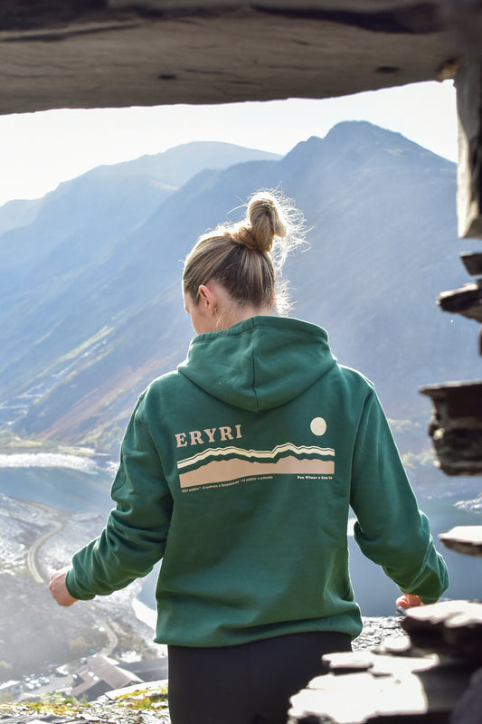 Eryri hoodie in Fern Green