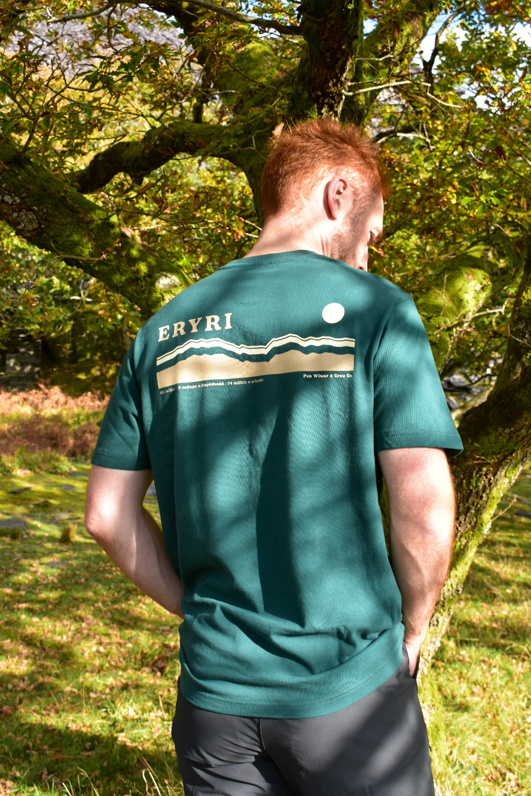 Eryri relaxed fit Tee in Fern Green