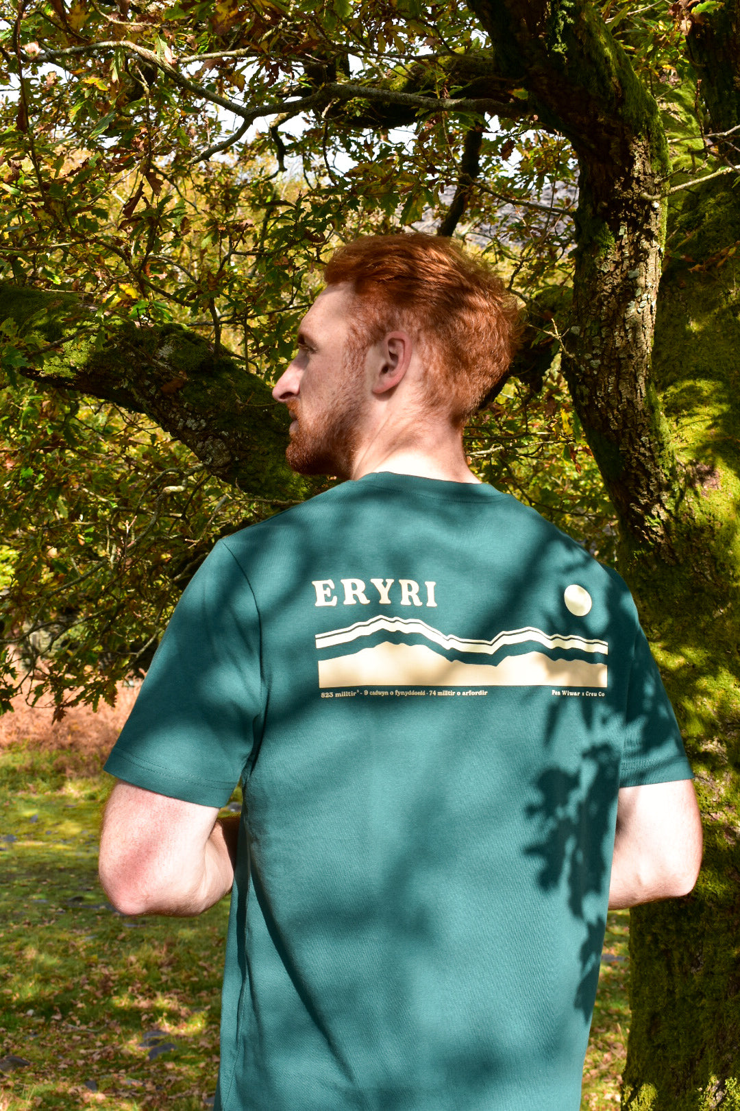 Eryri relaxed fit Tee in Fern Green