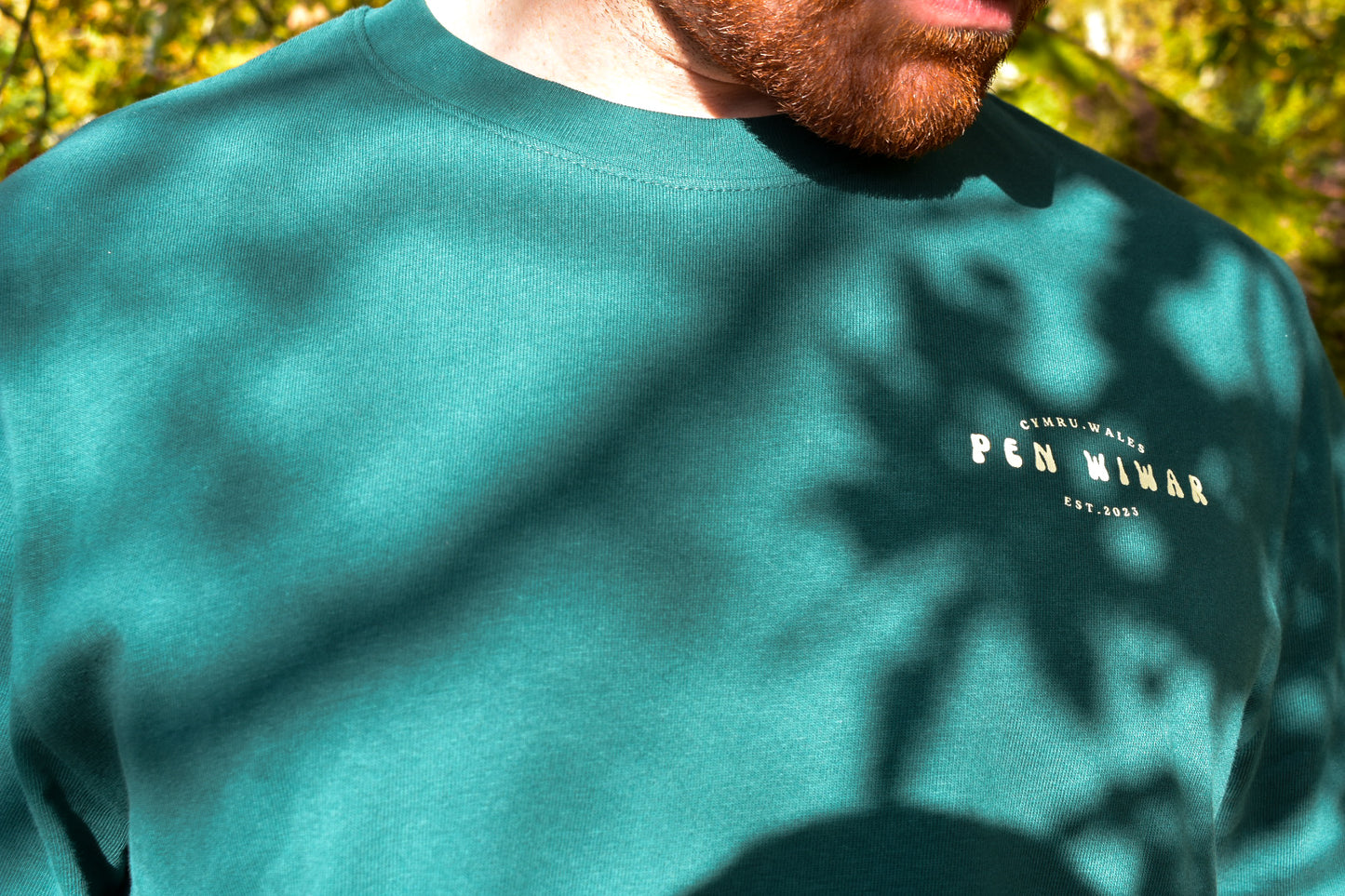 Eryri relaxed fit Tee in Fern Green
