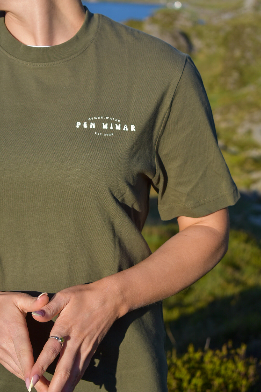 Pen yr Ole Wen Relaxed Fit Tee in Khaki