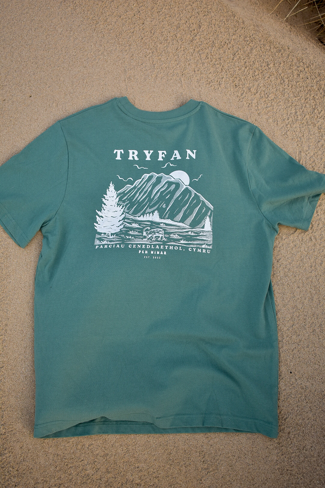 Tryfan Relaxed Fit Tee in Moss Green