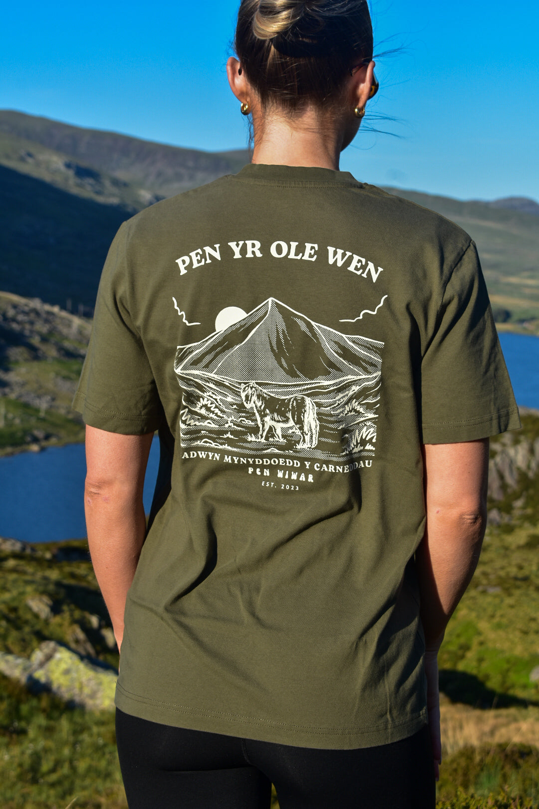 Pen yr Ole Wen Relaxed Fit Tee in Khaki